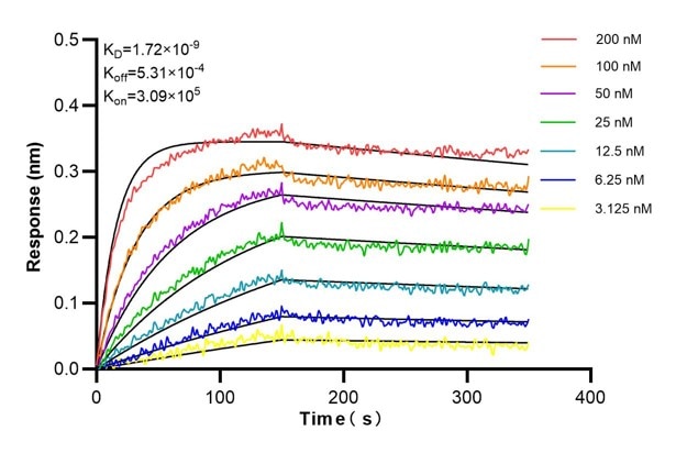 Affinity and Kinetic Characterization of 67563-3-PBS