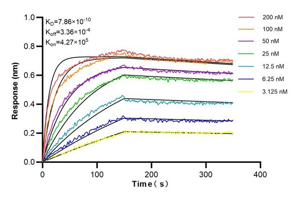 Affinity and Kinetic Characterization of 67563-4-PBS