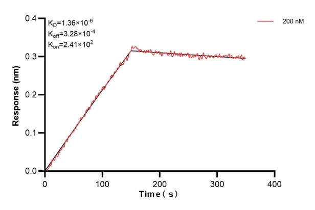 Affinity and Kinetic Characterization of 67572-4-PBS