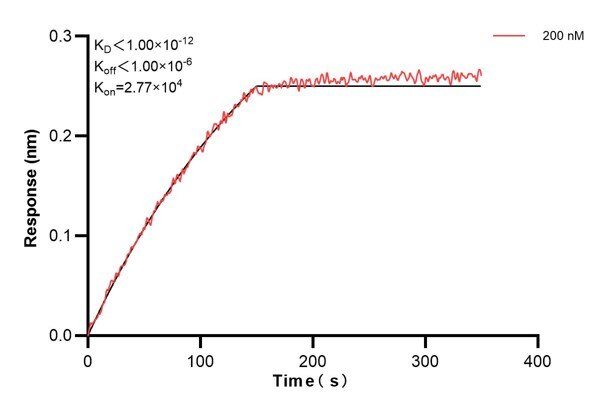 Biolayer interferometry (BLl) kinetic assays of 67599-5-Ig against Human Prx5 were performed. The affinity constant is below 1 pM. Affinity and Kinetic Characterization of 67599-5-PBS