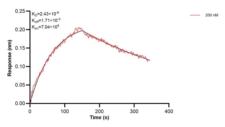 Affinity and Kinetic Characterization of 67600-3-PBS Affinity and Kinetic Characterization of 67600-3-PBS