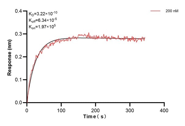 Affinity and Kinetic Characterization of 67647-5-PBS