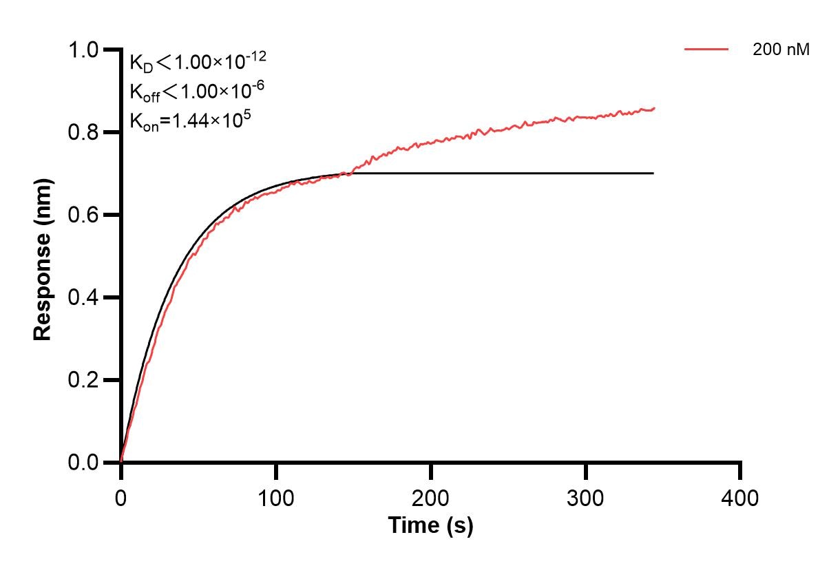 Affinity and Kinetic Characterization of 67658-2-PBS
