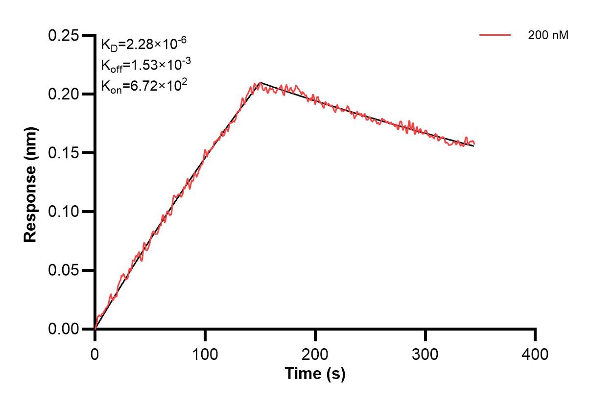 Affinity and Kinetic Characterization of 67658-4-PBS