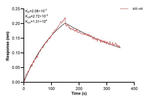 Affinity and Kinetic Characterization of 67690-3-PBS Affinity and Kinetic Characterization of 67690-3-PBS