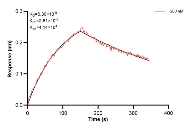Affinity and Kinetic Characterization of 67690-4-PBS Affinity and Kinetic Characterization of 67690-4-PBS