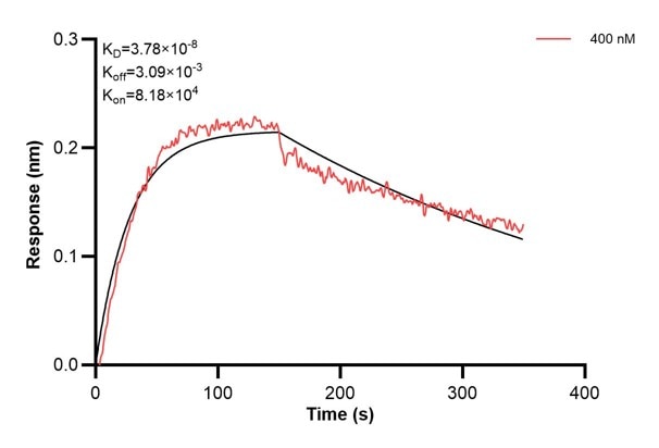 Affinity and Kinetic Characterization of 67690-5-PBS Affinity and Kinetic Characterization of 67690-5-PBS