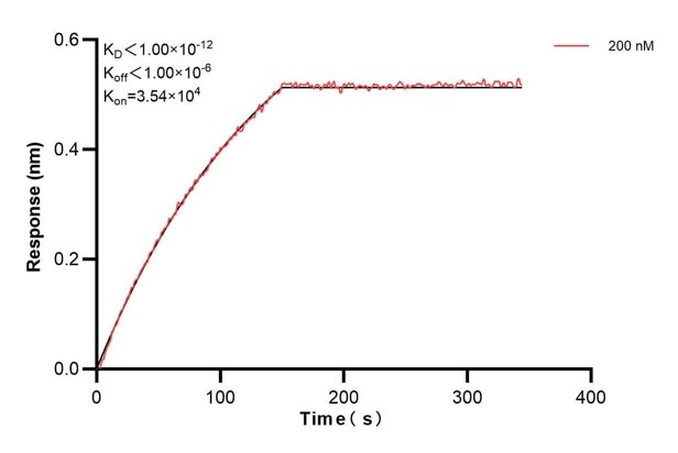 Affinity and Kinetic Characterization of 67702-3-PBS