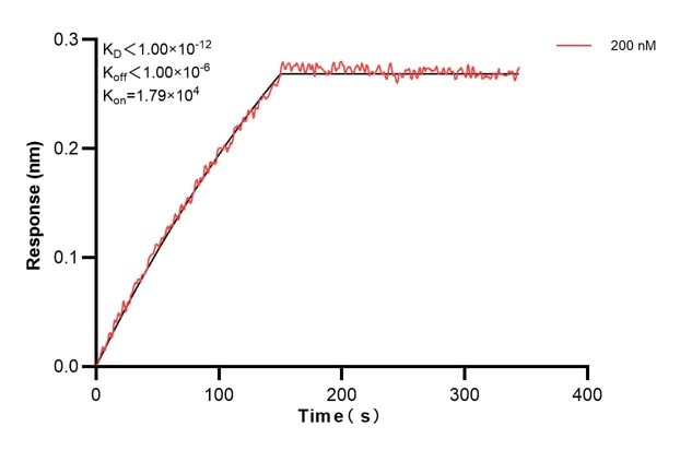 Affinity and Kinetic Characterization of 67702-4-PBS