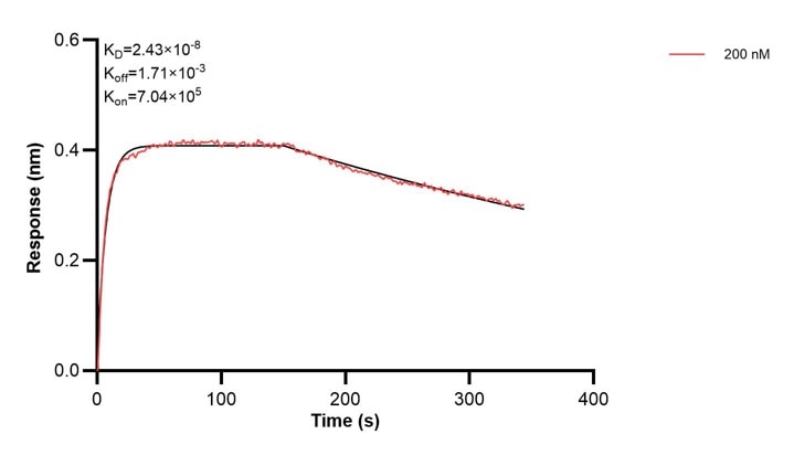 Affinity and Kinetic Characterization of 67705-2-PBS Affinity and Kinetic Characterization of 67705-2-PBS
