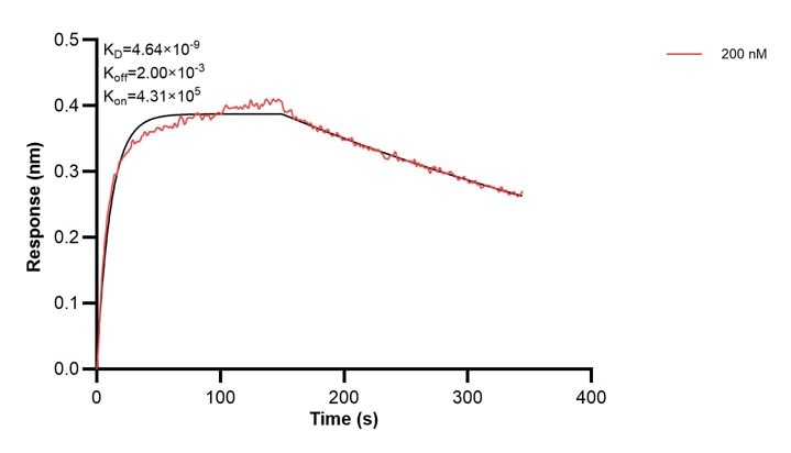 Affinity and Kinetic Characterization of 67705-3-PBS Affinity and Kinetic Characterization of 67705-3-PBS