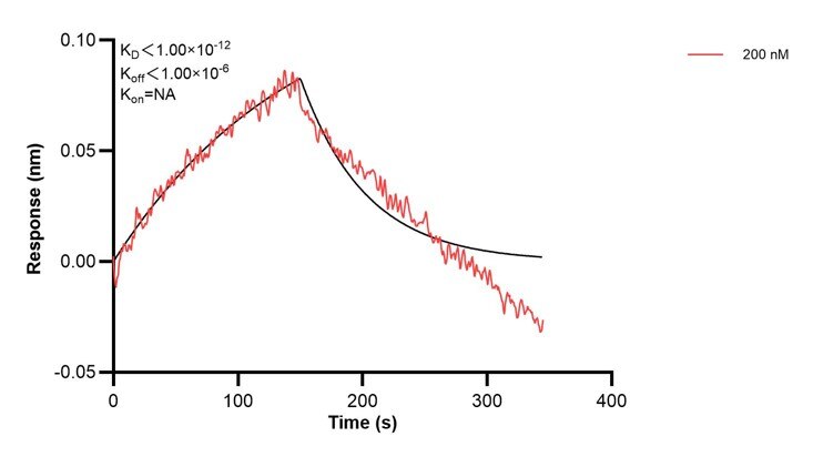 Affinity and Kinetic Characterization of 67705-4-PBS Affinity and Kinetic Characterization of 67705-4-PBS