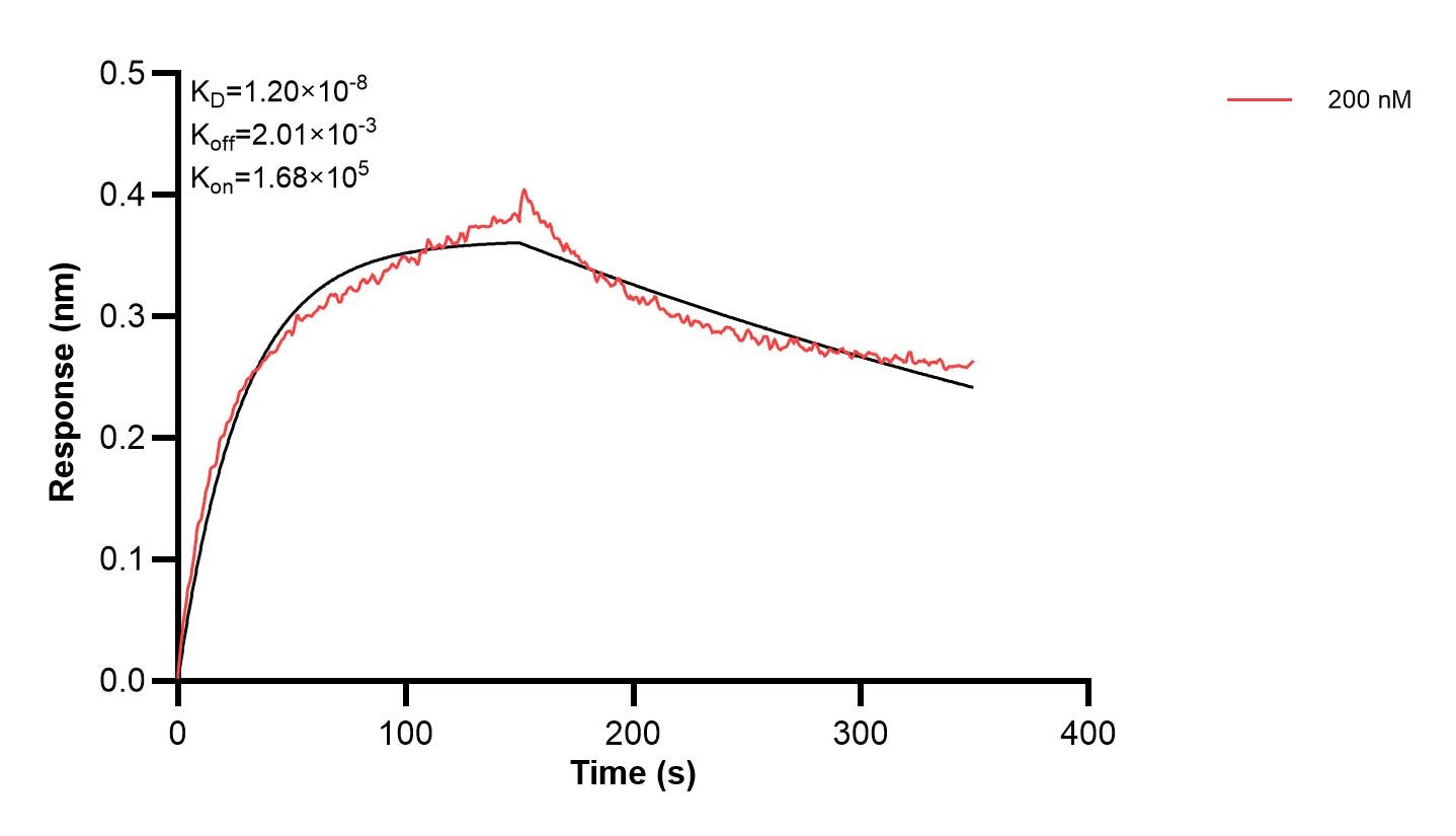 Affinity and Kinetic Characterization of 67780-2-PBS Affinity and Kinetic Characterization of 67780-2-PBS