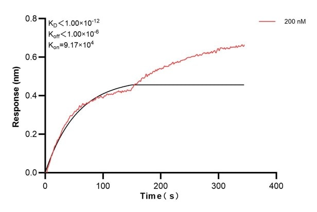 Affinity and Kinetic Characterization of 67784-2-PBS