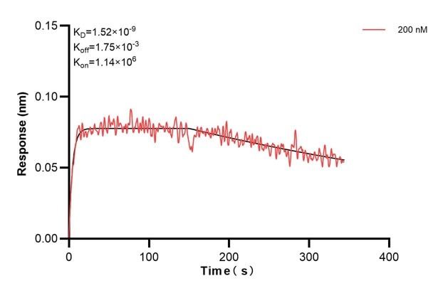 Affinity and Kinetic Characterization of 67784-5-PBS