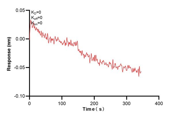 Biolayer interferometry (BLl) kinetic assays of 67787-3-Ig against Human TK1 were performed. The affinity constant is 0.921 nM. Affinity and Kinetic Characterization of 67787-3-PBS