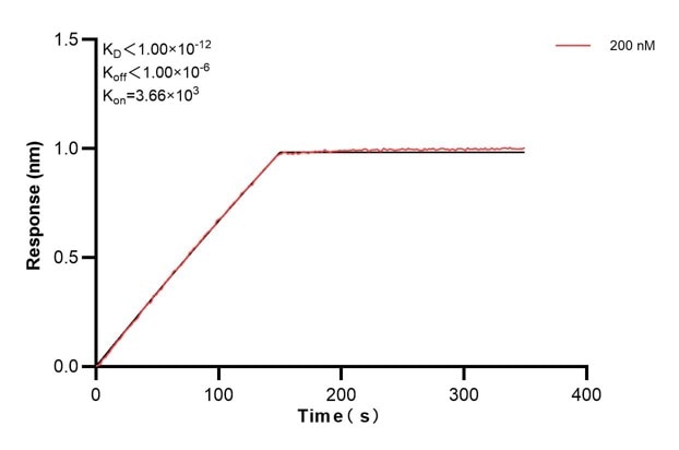 Affinity and Kinetic Characterization of 67791-3-PBS