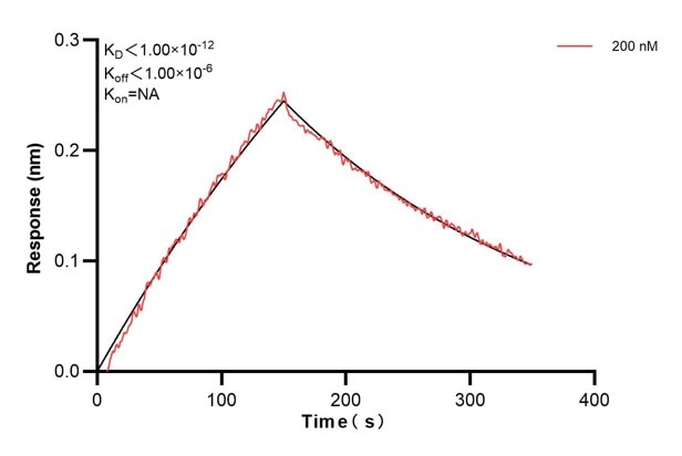 Affinity and Kinetic Characterization of 67838-2-PBS