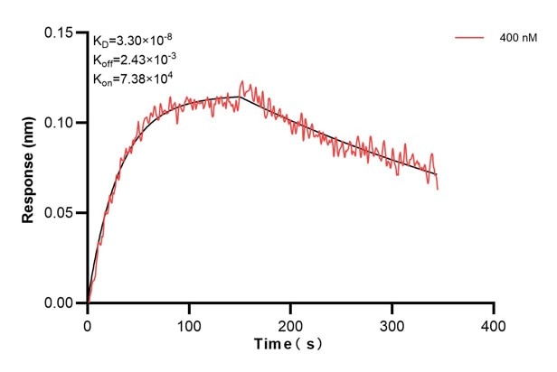 Affinity and Kinetic Characterization of 67845-2-PBS