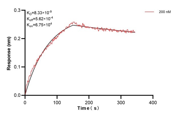 Affinity and Kinetic Characterization of 67845-3-PBS