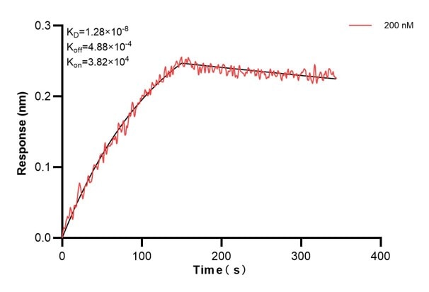 Affinity and Kinetic Characterization of 67870-1-Ig