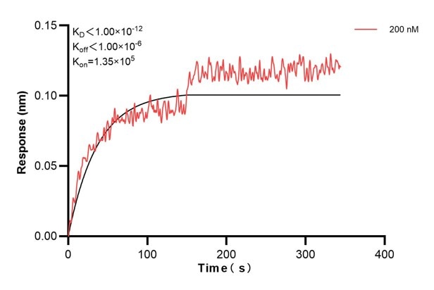 Affinity and Kinetic Characterization of 67913-3-PBS