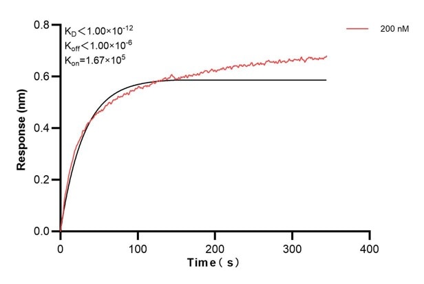 Affinity and Kinetic Characterization of 67913-4-PBS
