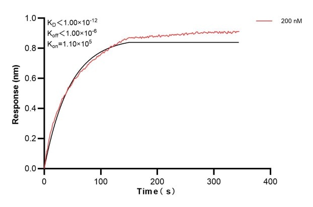 Affinity and Kinetic Characterization of 67913-5-PBS