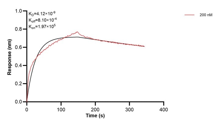 Affinity and Kinetic Characterization of 67926-3-PBS Affinity and Kinetic Characterization of 67926-3-PBS