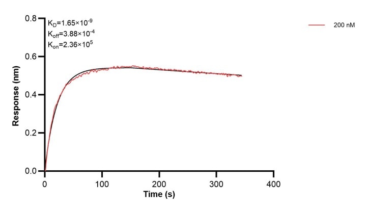 Affinity and Kinetic Characterization of 67926-4-PBS