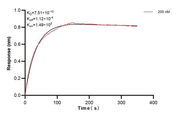 Affinity and Kinetic Characterization of 67928-2-PBS Affinity and Kinetic Characterization of 67928-2-PBS