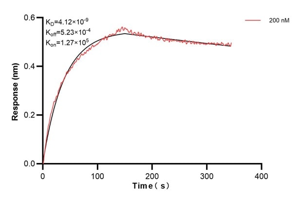 Affinity and Kinetic Characterization of 67937-3-PBS
