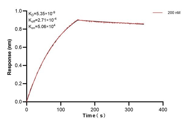 Affinity and Kinetic Characterization of 68081-3-PBS