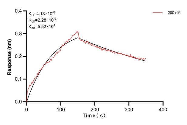 Affinity and Kinetic Characterization of 68089-2-PBS