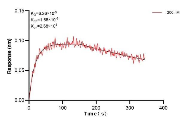 Affinity and Kinetic Characterization of 68174-1-PBS