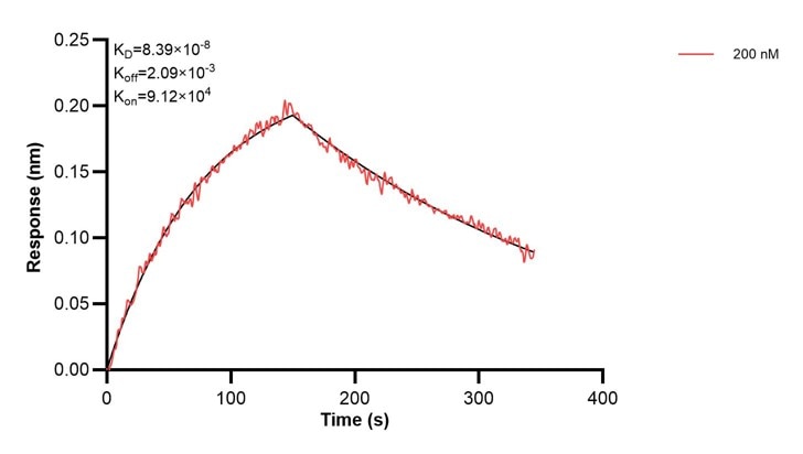 Affinity and Kinetic Characterization of 68179-2-PBS