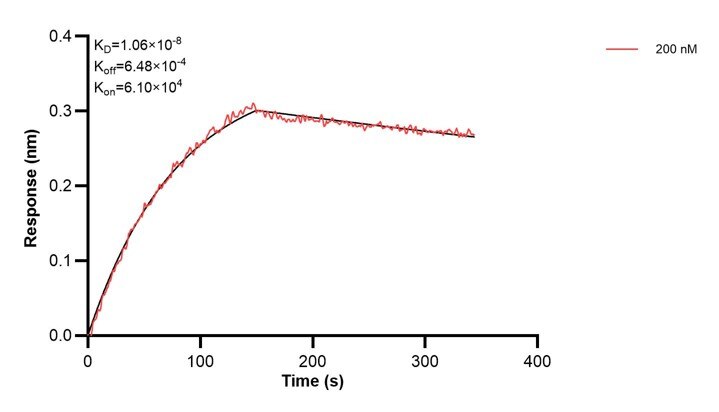 Affinity and Kinetic Characterization of 68225-2-PBS