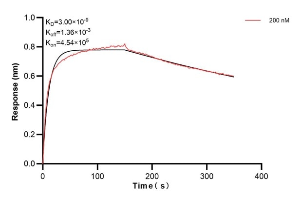 Affinity and Kinetic Characterization of 68250-2-PBS