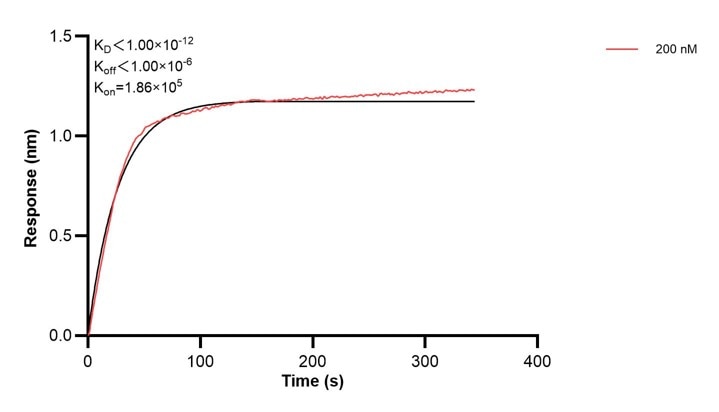 Affinity and Kinetic Characterization of 68299-2-PBS