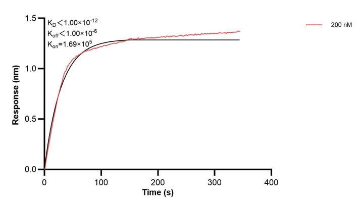Affinity and Kinetic Characterization of 68299-4-PBS