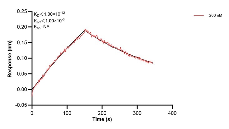 Affinity and Kinetic Characterization of 68309-4-PBS