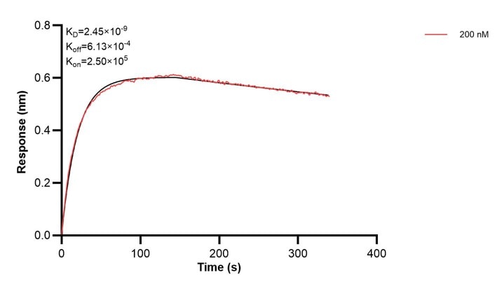 Affinity and Kinetic Characterization of 68314-5-PBS Affinity and Kinetic Characterization of 68314-5-PBS