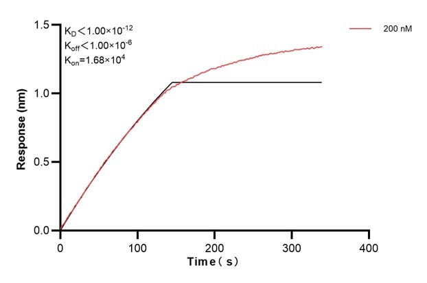 Affinity and Kinetic Characterization of 68318-2-PBS