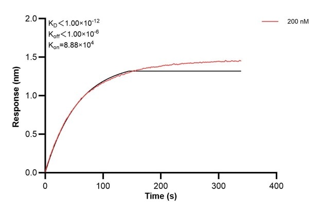 Affinity and Kinetic Characterization of 68318-3-PBS