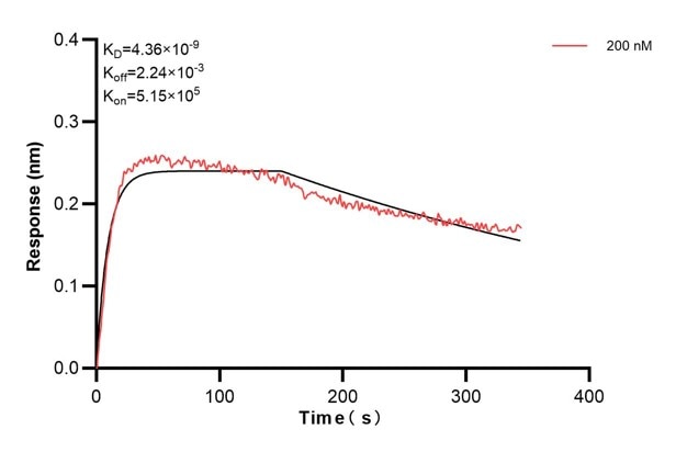Biolayer interferometry (BLl) kinetic assays of 68330-2-Ig against Human EPS8L2 were performed. The affinity constant is 4.36 nM. Affinity and Kinetic Characterization of 68330-2-PBS