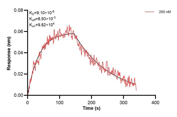 Affinity and Kinetic Characterization of 68346-2-PBS