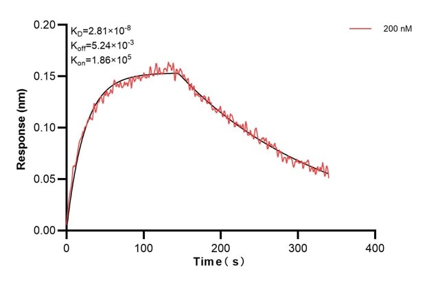 Affinity and Kinetic Characterization of 68401-2-PBS Affinity and Kinetic Characterization of 68401-2-PBS