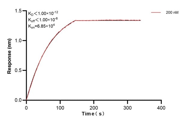Affinity and Kinetic Characterization of 68405-2-PBS Affinity and Kinetic Characterization of 68405-2-PBS