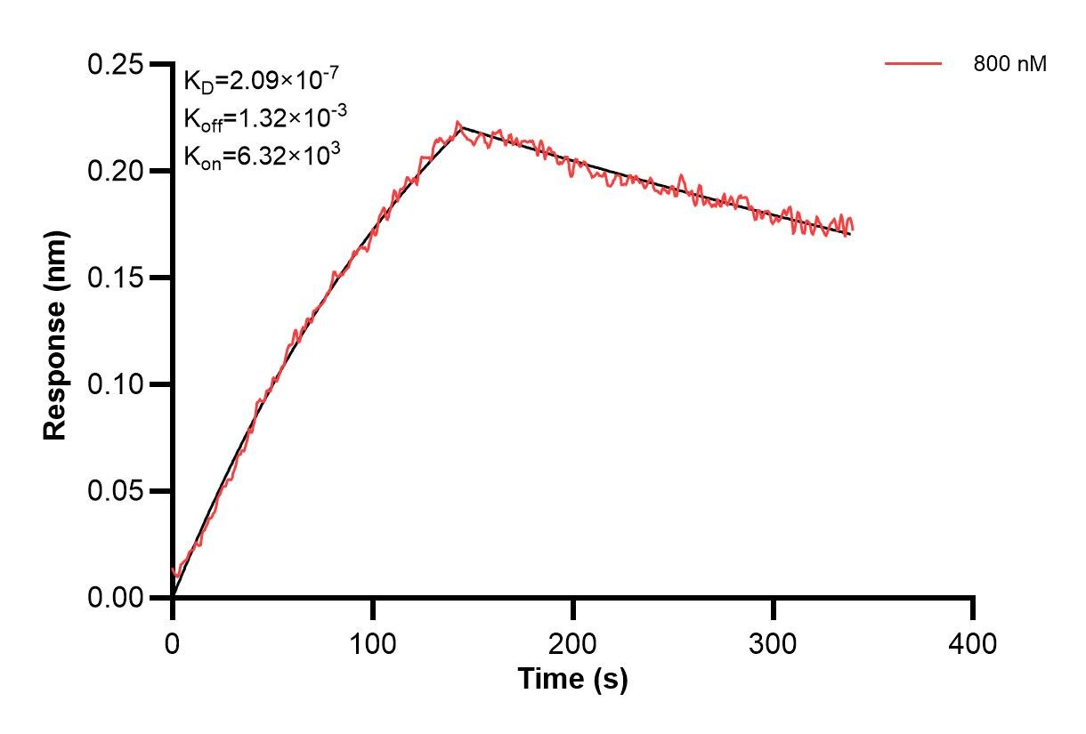 Affinity and Kinetic Characterization of 68408-2-PBS Affinity and Kinetic Characterization of 68408-2-PBS