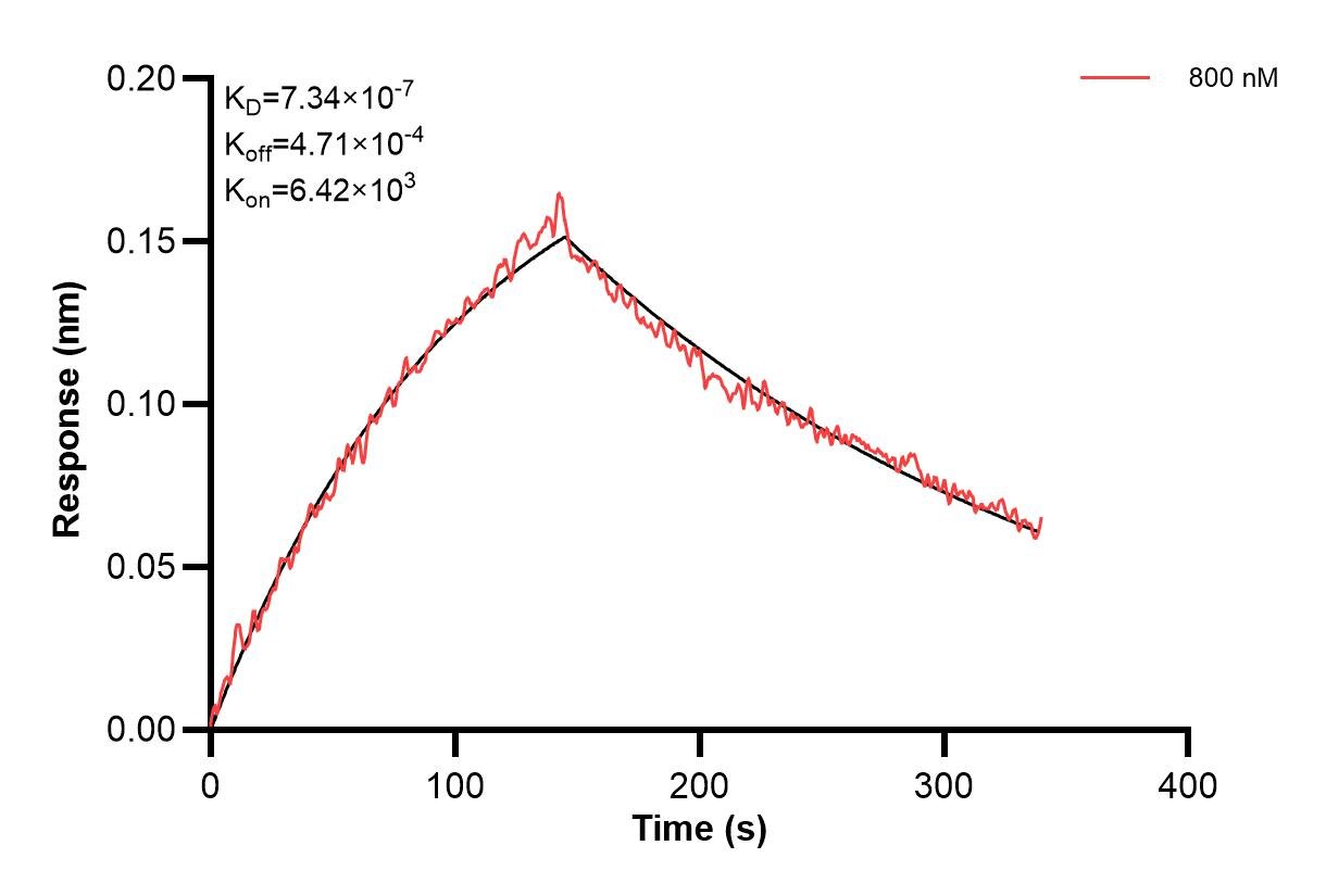 Affinity and Kinetic Characterization of 68408-3-PBS Affinity and Kinetic Characterization of 68408-3-PBS